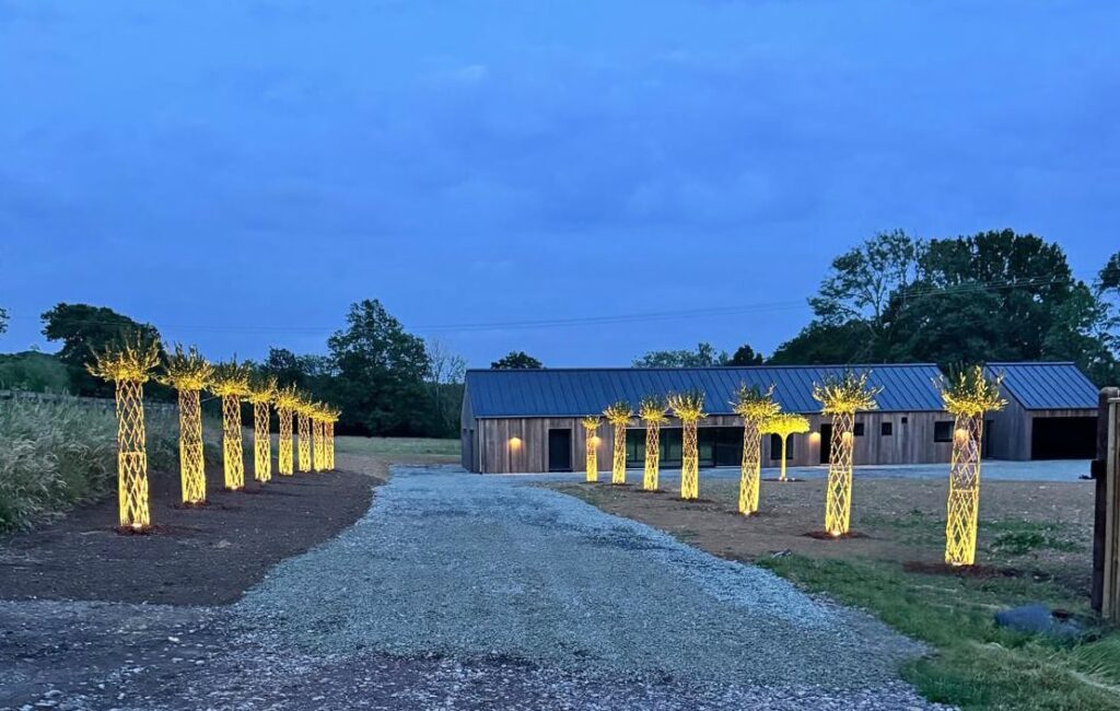 Alley of living willow sculptures with uplights
