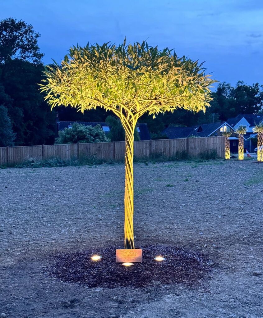 Grand Designs in Surrey Hills living willow sculpture at nitght with lights on