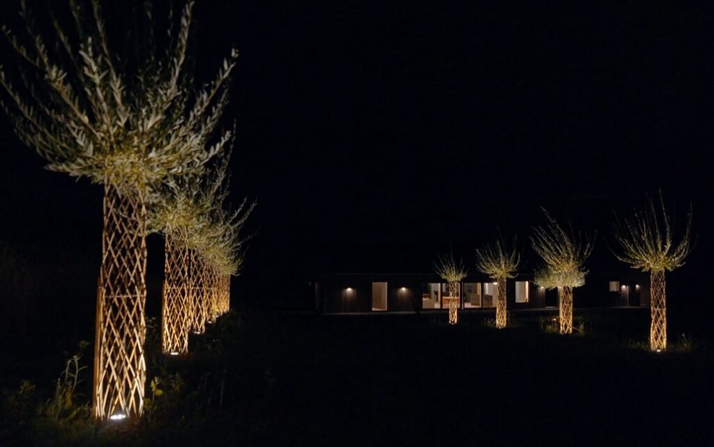 Alley of living willow sculpture with uplights