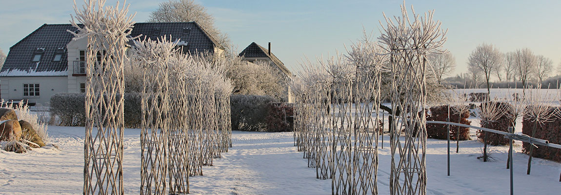 Willow sculptures covered in snow