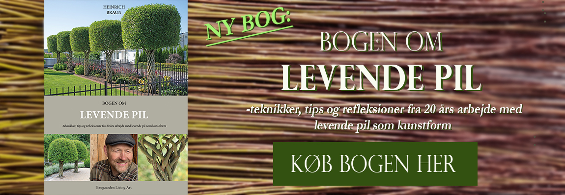 Teaser til Bogen om Levende pil